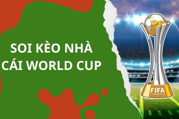 Hướng dẫn cách phân tích và soi kèo nhà cái World Cup