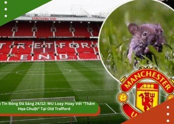 Bản Tin Bóng Đá Sáng 24/12: MU Loay Hoay Với “Thảm Họa Chuột” Tại Old Trafford