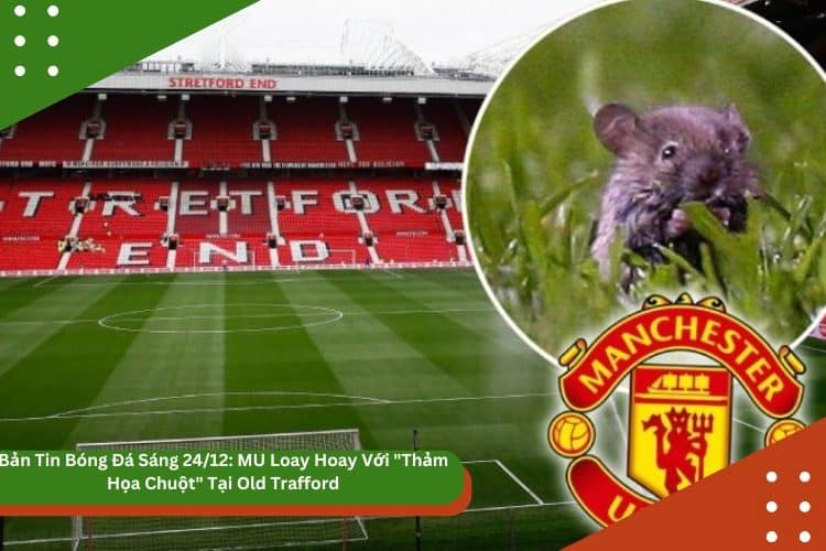 Bản Tin Bóng Đá Sáng 24/12: MU Loay Hoay Với “Thảm Họa Chuột” Tại Old Trafford