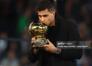 Tiền vệ mỏ neo là gì, Lịch sử, Vai trò, Điểm mạnh và Điểm yếu