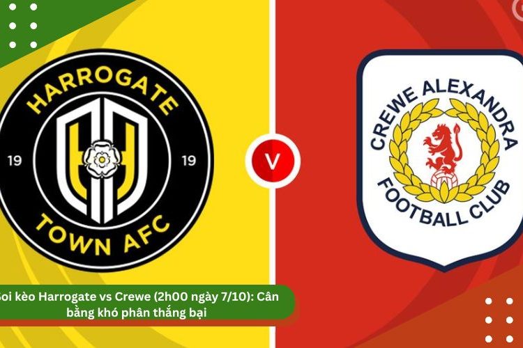 Soi kèo nhận định Harrogate vs Crewe (2h00 ngày 7/10): Cân bằng khó phân thắng bại